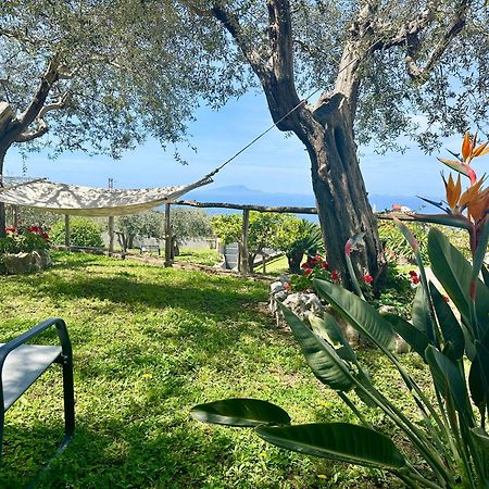 Villa Raf Vico Equense Extérieur photo
