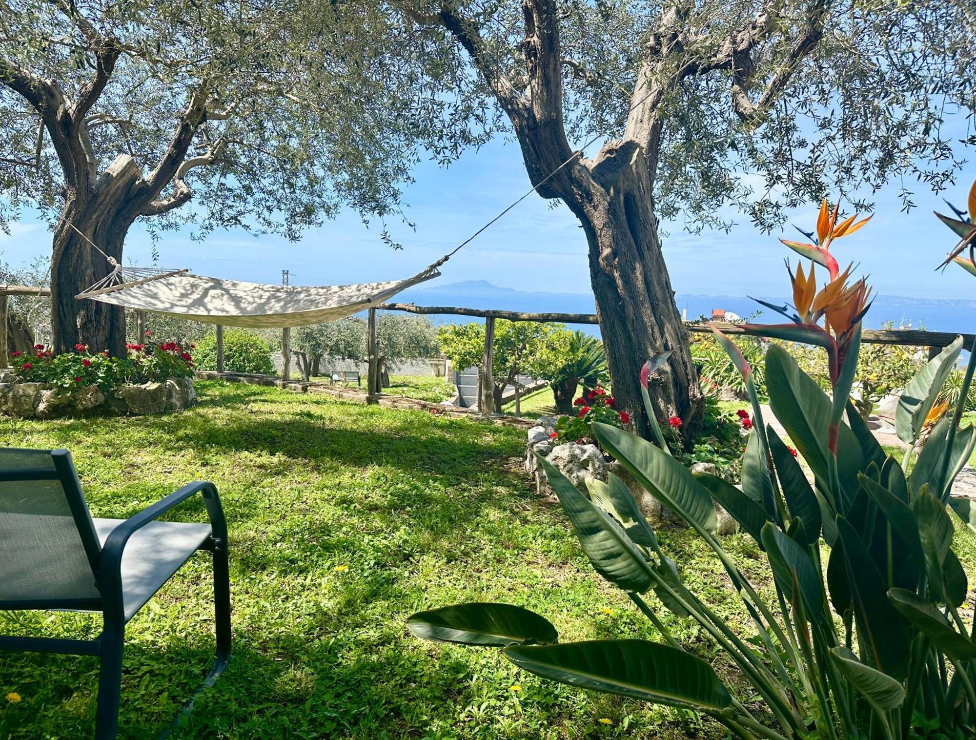 Villa Raf Vico Equense Extérieur photo